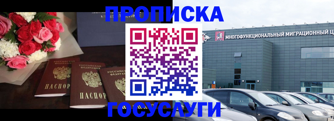 прописка законно в Завитинске
